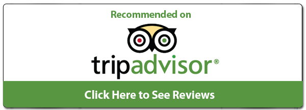 TripAdvisor